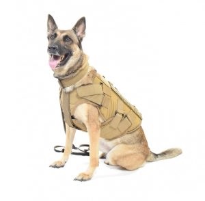 Connecticut police dog gets bulletproof vest